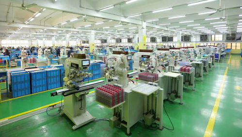 东莞市外商投资企业协会官方网站投资管理服务