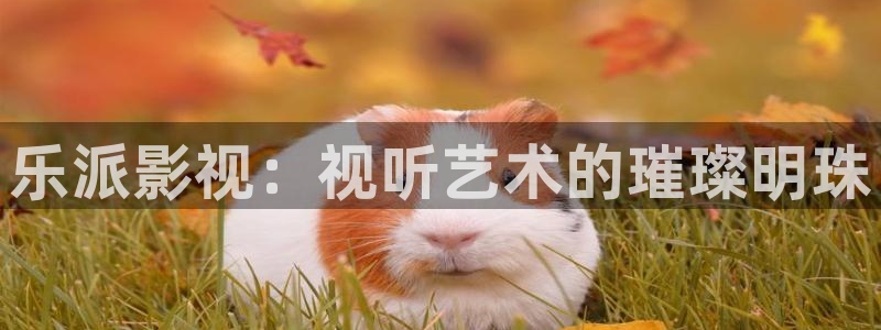 玖玖资源站视频