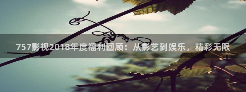 玖玖在线播放