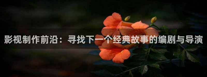 玖玖在线精品免费视频：影视制作前沿：寻找下一个经典故事的编剧与导演