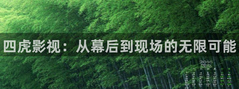 玖玖热视频在线：四虎影视：从幕后到现场的无限可能
