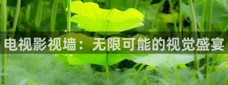 玖玖热在线视频播放：电视影视墙：无限可能的视觉盛宴