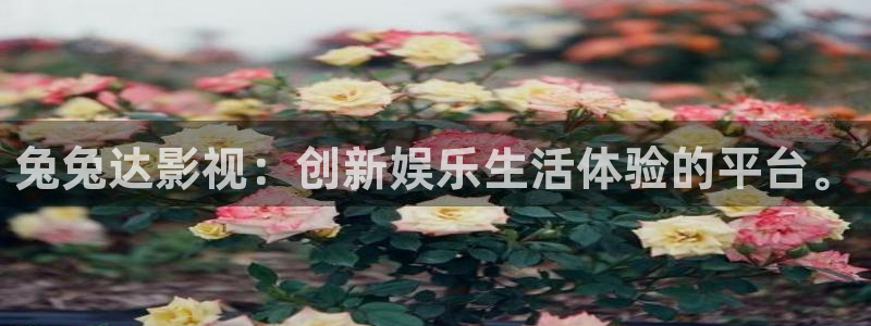 玖玖爱这里只有精品视频：兔兔达影视：创新娱乐生活体验的平台。
